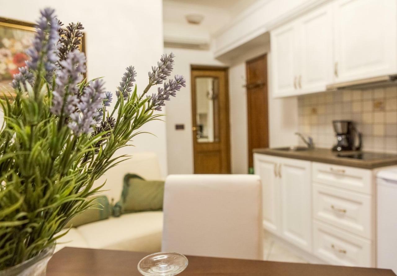 Villa Hasi Poreč Zewnętrze zdjęcie